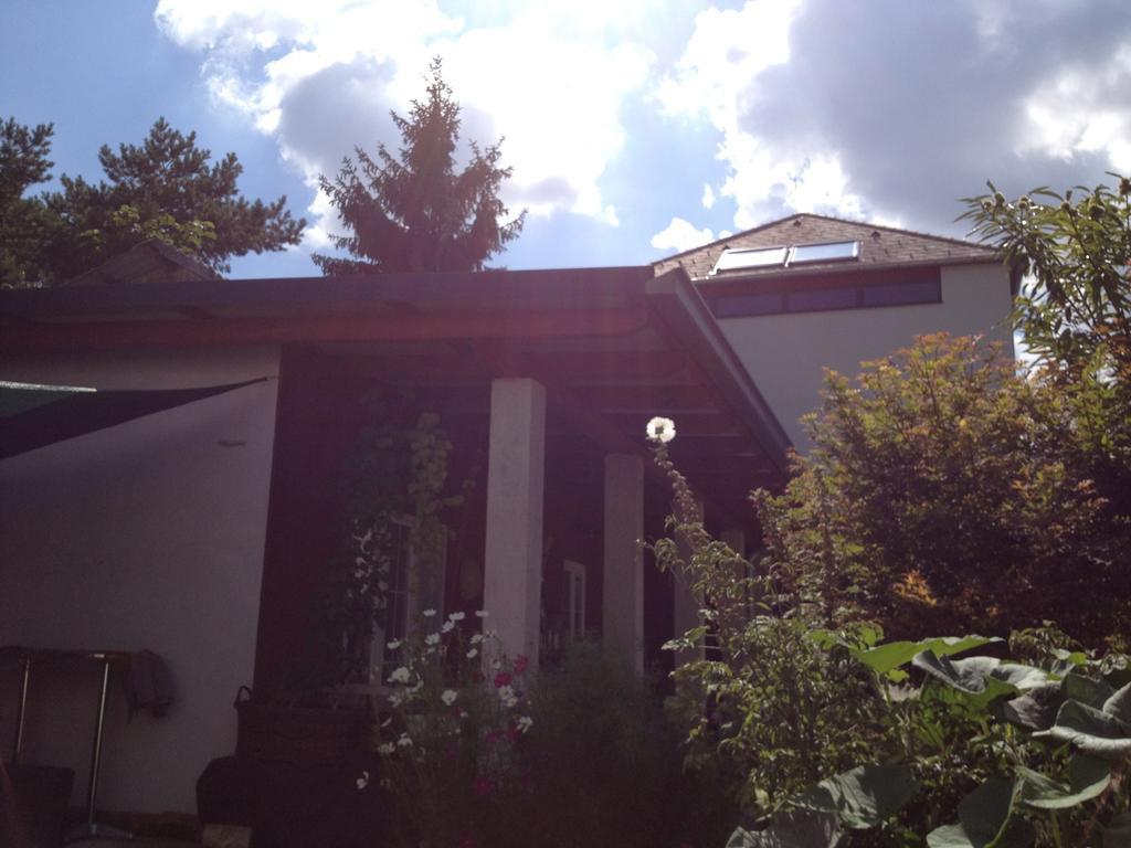 Apartamento Box58 Eisenstadt Exterior foto